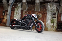 Barracuda-Harley-Davidson-Custompaint