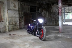 Barracuda-Harley-Davidson-Custompaint13