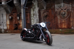 Barracuda-Harley-Davidson-Custompaint19