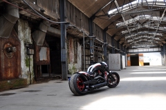 Barracuda-Harley-Davidson-Custompaint24
