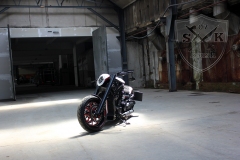 Barracuda-Harley-Davidson-Custompaint8