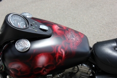 Harley Davidson Candy Red Fire Skulls