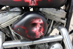 airbrush-harley-davidson-skulls-matt5