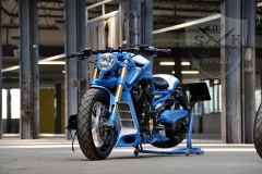 Harley-Davidson-V-Rod-Custompaint-Iceman10