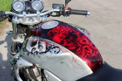 airbrush-bike-candy-red-skull3
