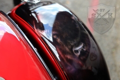 Airbrush-Candy-Red-Indian-Chief-Bike3